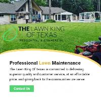 The Lawn King of Texas image 4